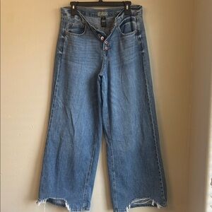 Rewash Light Blue Wide Leg Raw Edge Hem Jeans Size 11